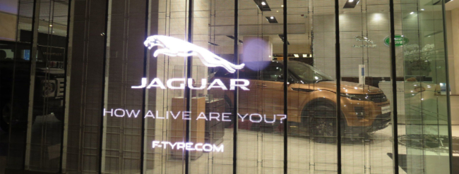 AVDGLASS - Imagen 13